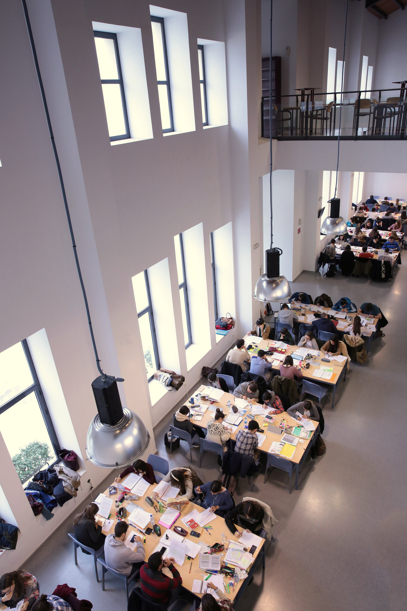    Biblioteca de Derecho y Ciencias del Trabajo              