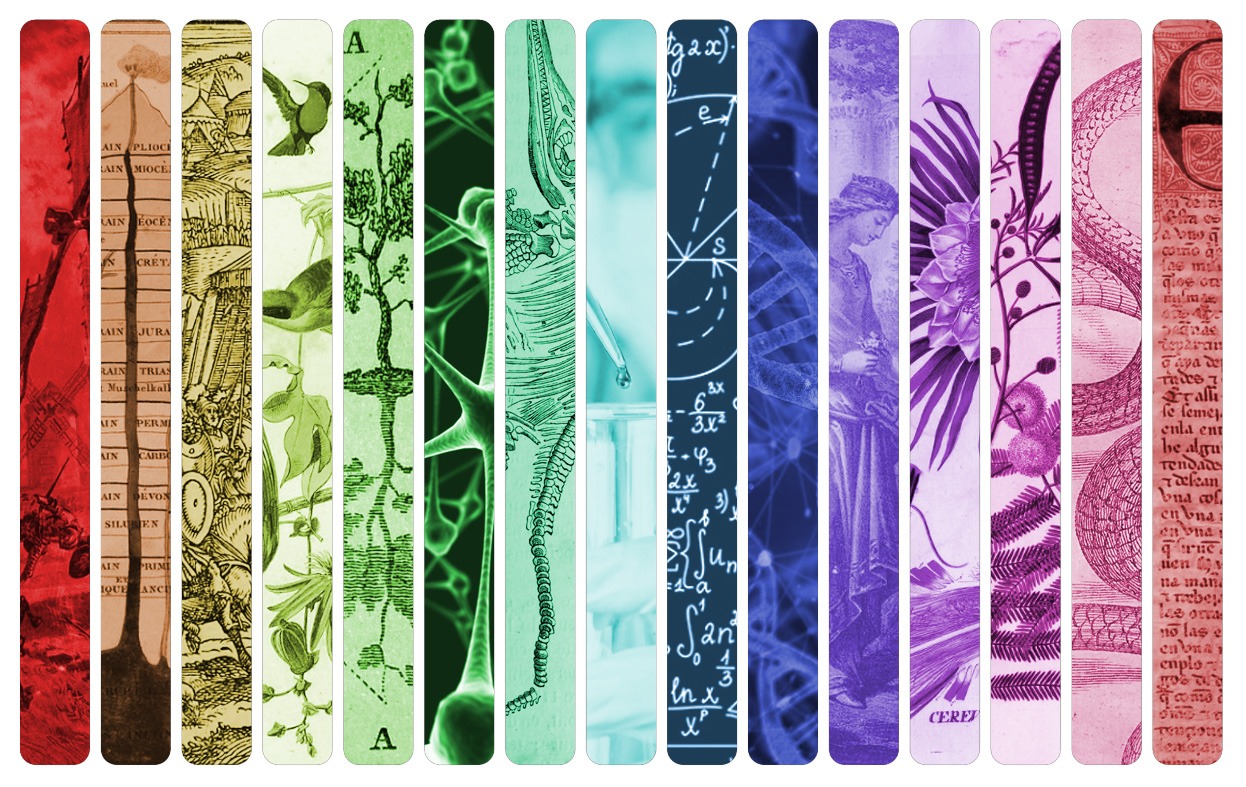 Prisma