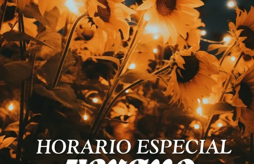 girasoles